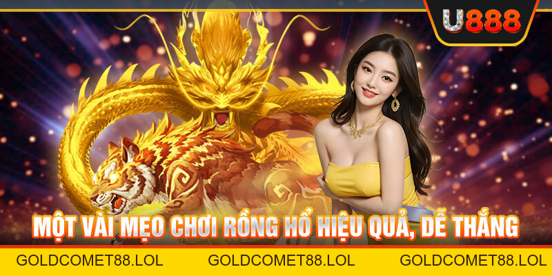 Chơi Rồng Hổ - Trò Chơi Được Yêu Thích Nhất Tại Nhà Cái